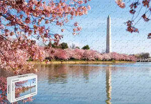 1000 Piece Jigsaw Puzzle - Cherry Blossoms Dc Mural Home Decoration Poster Wooden 29.5 X 19.6 Inch