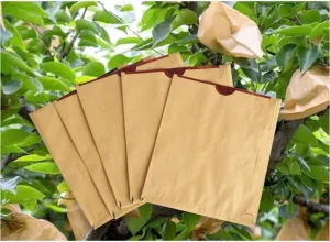 100pcs Fruit Protection Bag, Double Layer Waterproof Grow Bags, Agriculture Orchard Breeding Bag for Peach/Apple/Pear, Pest Control Anti-Bird (Color : Black Inside)
