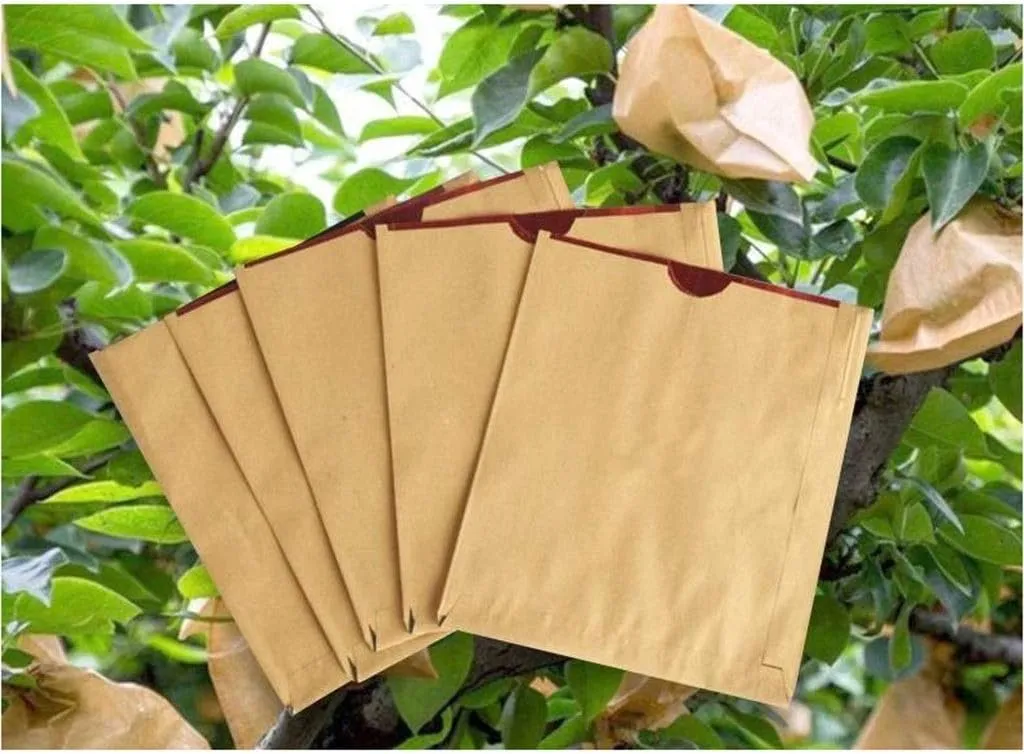 100pcs Fruit Protection Bag, Double Layer Waterproof Grow Bags, Agriculture Orchard Breeding Bag for Peach/Apple/Pear, Pest Control Anti-Bird (Color : Black Inside)