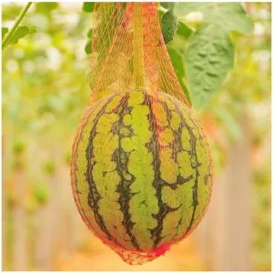 100pcs Watermelon Protective Mesh Bag, for Vegetable Fruit Plant Protection Net Horticultural Cultivation Garden Bag(60cm)