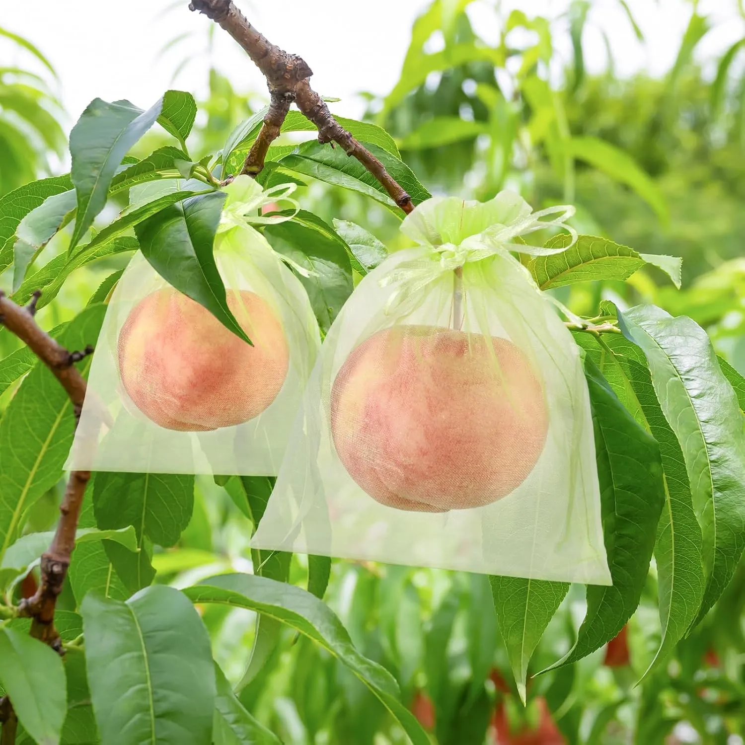 150 Pcs Fruit Protection Bags - 6.5 x 9 Inch Green Netting Bags with Drawstring for Trees & Vegetables
