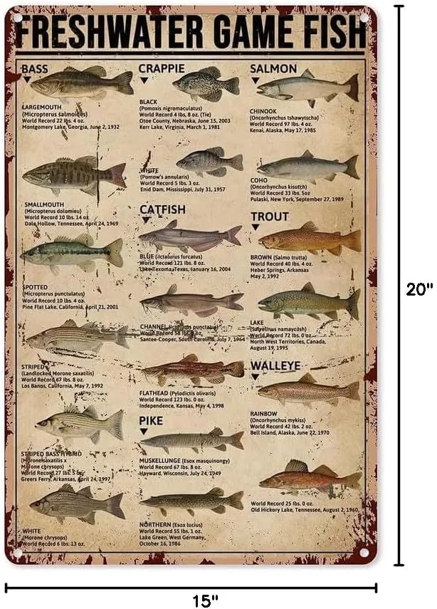 500 Pieces Jigsaw Puzzles Fish Sign,Freshwater Game Fish,Home Bedroom Home 15 * 20 in