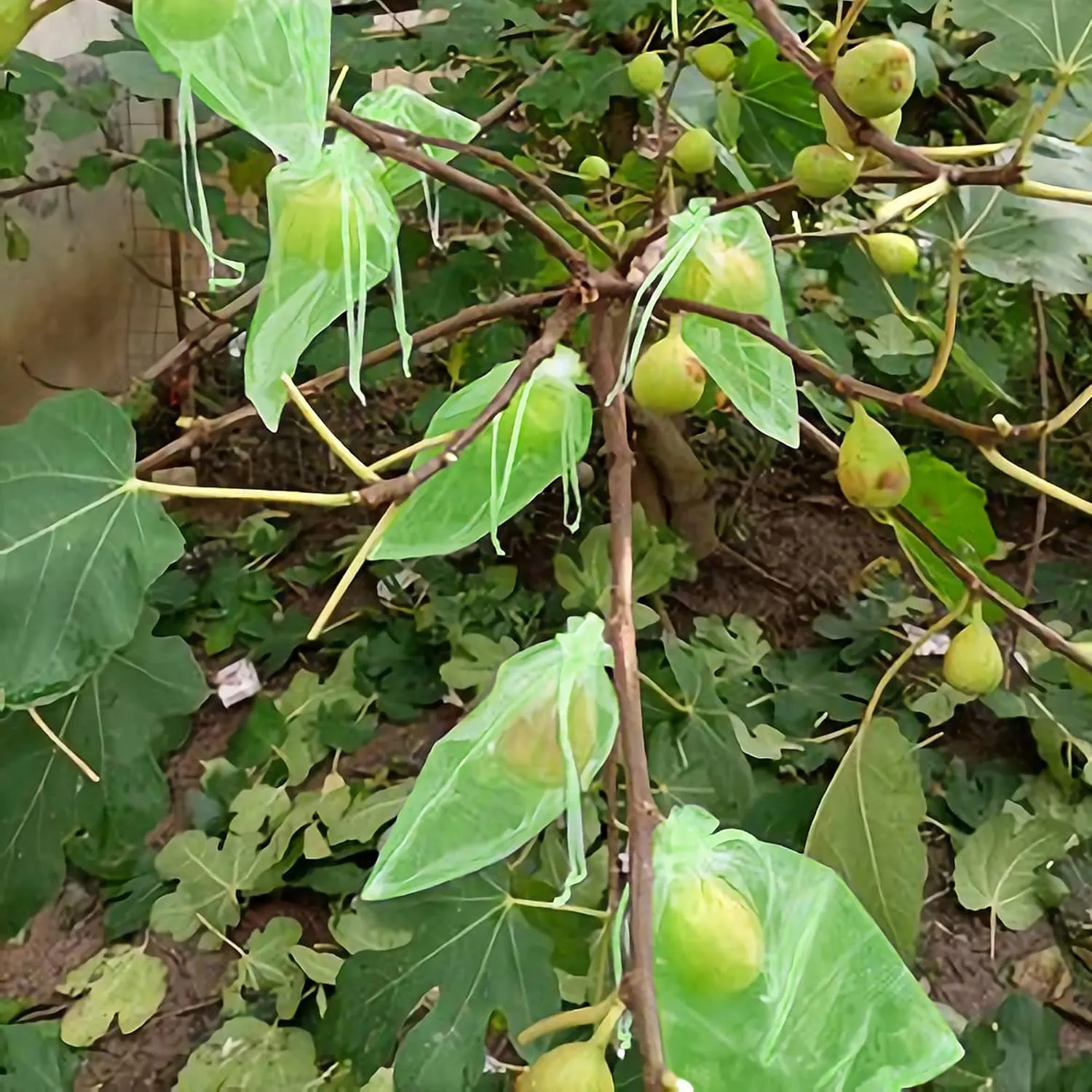 6x8 Inch 100 Pieces Green Fruit Protection Bags- Fruit Netting Bags with Drawstring,Garden Fruit Cover Mesh Bag to Protect Plants from Pest Birds Squirrels