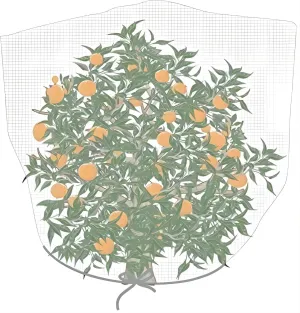 Agfabric Bird Netting 48" Hx55 W Garden Netting Insect Pest Barrier,Plant Cover Fruit Tree Netting Mesh Protection Bag with Drawstring,White