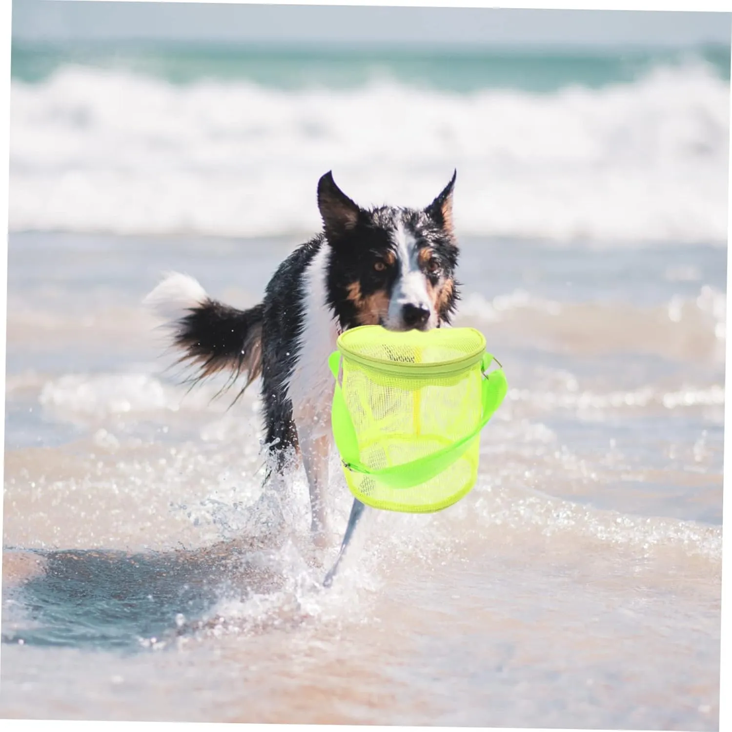 Beach Storage Bag Beach Toys for Kids Beach Tote Bag Bag Organizer for Backpack Mesh Summer Bags Beach Net Bag Beach Toy Tote Beach Toy Bucket Mesh Bucket Sand Toy Bag Green Child