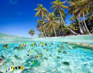 Beach Tropical Fish Jigsaw Puzzles 1000 Pieces DIY Artwork,Wooden Puzzle Prop Summer Seaside Intellectual Decompressing Toys Fun Game Gifts for Family Adults Teens Friends