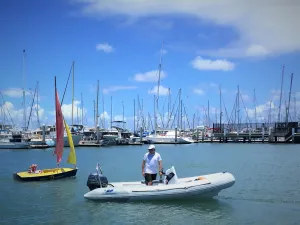 Cormorant 390