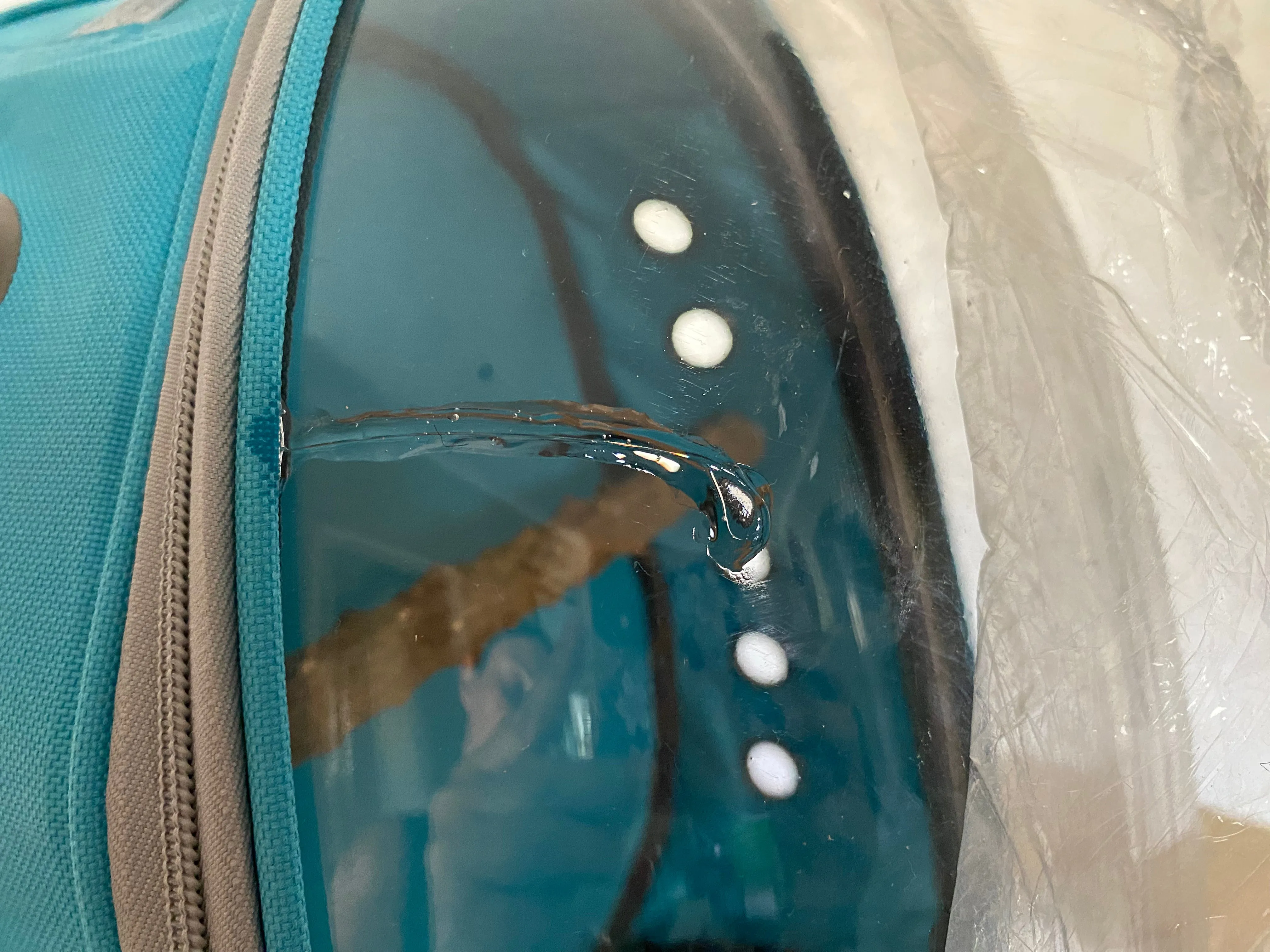 Discounted Bird Backpacks