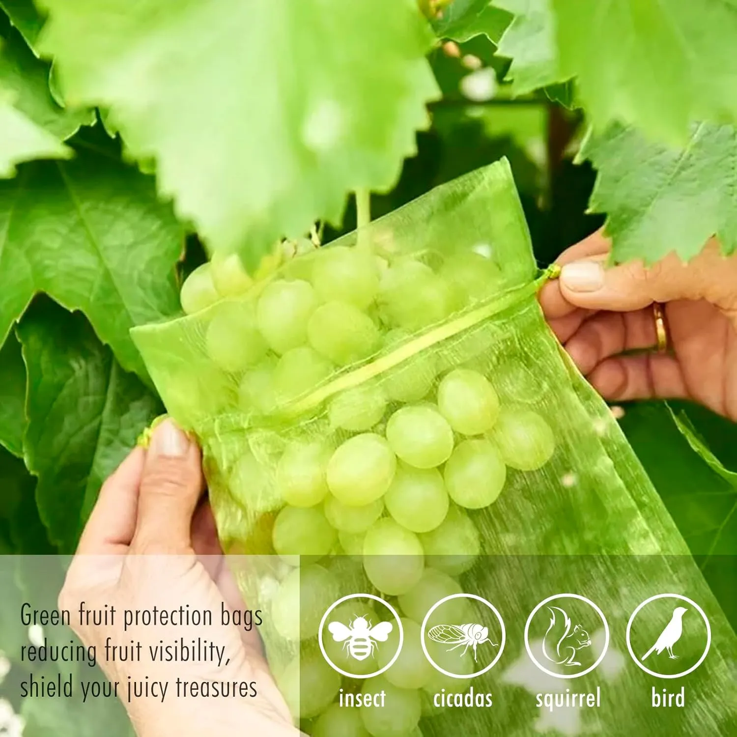 Fruit Protection Bags, Fetanten 100 PCS 8 x 12 Inch Mesh Drawstring Bag for Fruit Trees, Small Green Garden Fruit Plant Netting Cover Bag Protect Tomato Apple Mango Grape from Bird Insect Pest