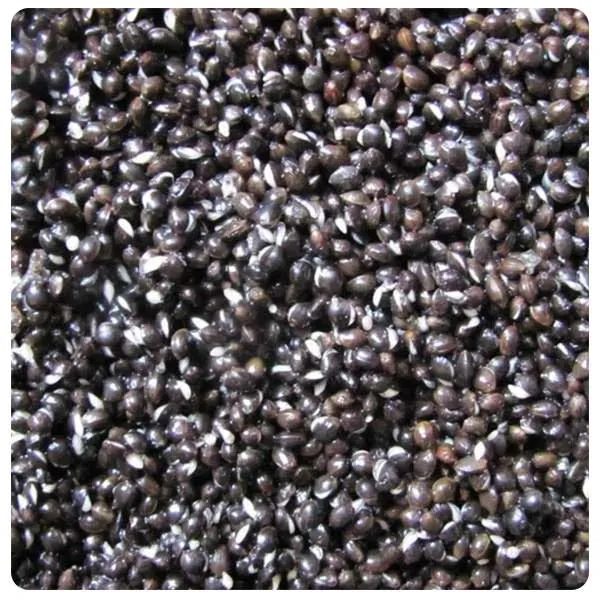 Hemp Seed Freshly Prepared 2kg