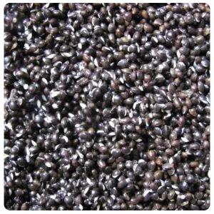 Hemp Seed Freshly Prepared 2kg