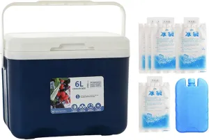 Insulated Cooler, Ice Box Chest, Personal 6 L Portable Cold Case with Ice Pack for Camping Hiking Barbecue Sport Drink Yard