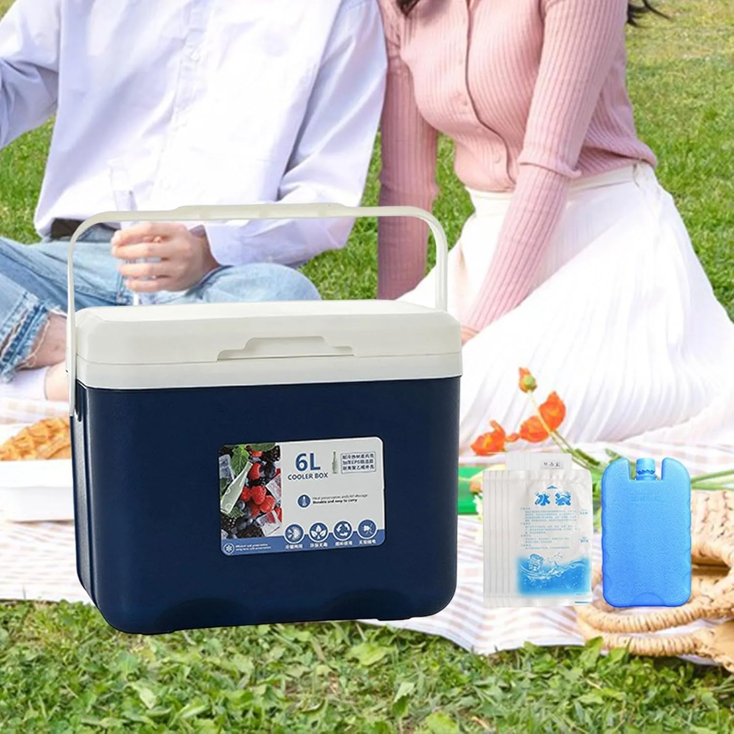 Insulated Cooler, Ice Box Chest, Personal 6 L Portable Cold Case with Ice Pack for Camping Hiking Barbecue Sport Drink Yard