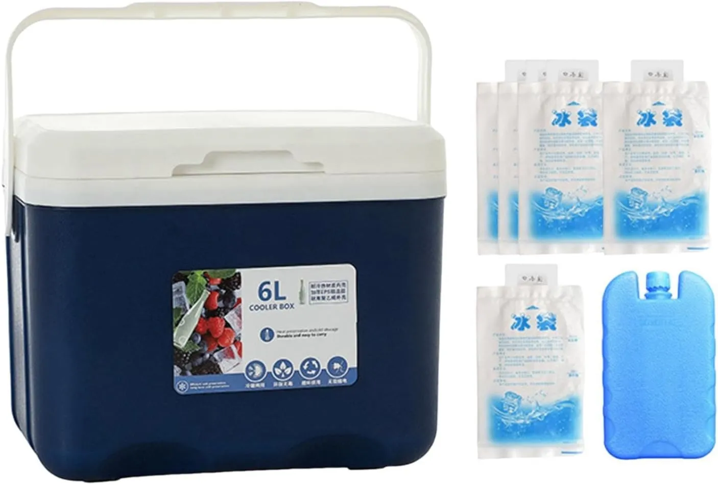 Insulated Cooler, Ice Box Chest, Personal 6 L Portable Cold Case with Ice Pack for Camping Hiking Barbecue Sport Drink Yard