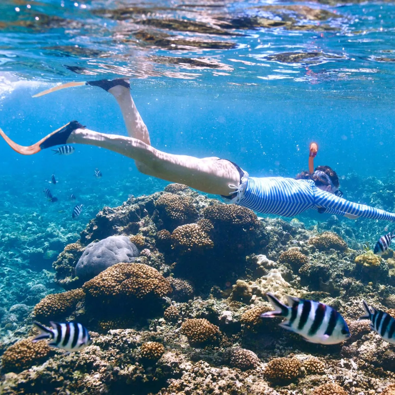 Kids Snorkeling Set Children Mask Fin Snorkel Set Snorkeling Gear Snorkel Mask   Adjustable Swimming Kids Flippers  Dry Snorkel Tube   Travel Bags