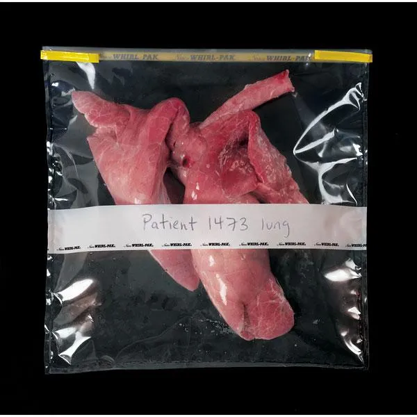 Nasco B01447 Whirl-Pak® Bags - 184 oz. (5,441 ml) - Box of 100