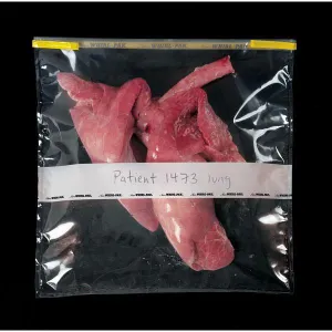 Nasco B01447 Whirl-Pak® Bags - 184 oz. (5,441 ml) - Box of 100