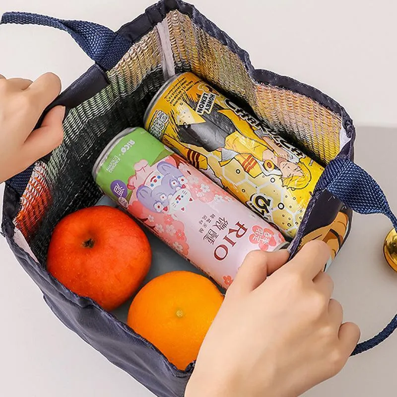 Printing Thermal Insulated Portable Lunch Bag Large Capacity Picnic Box Kids