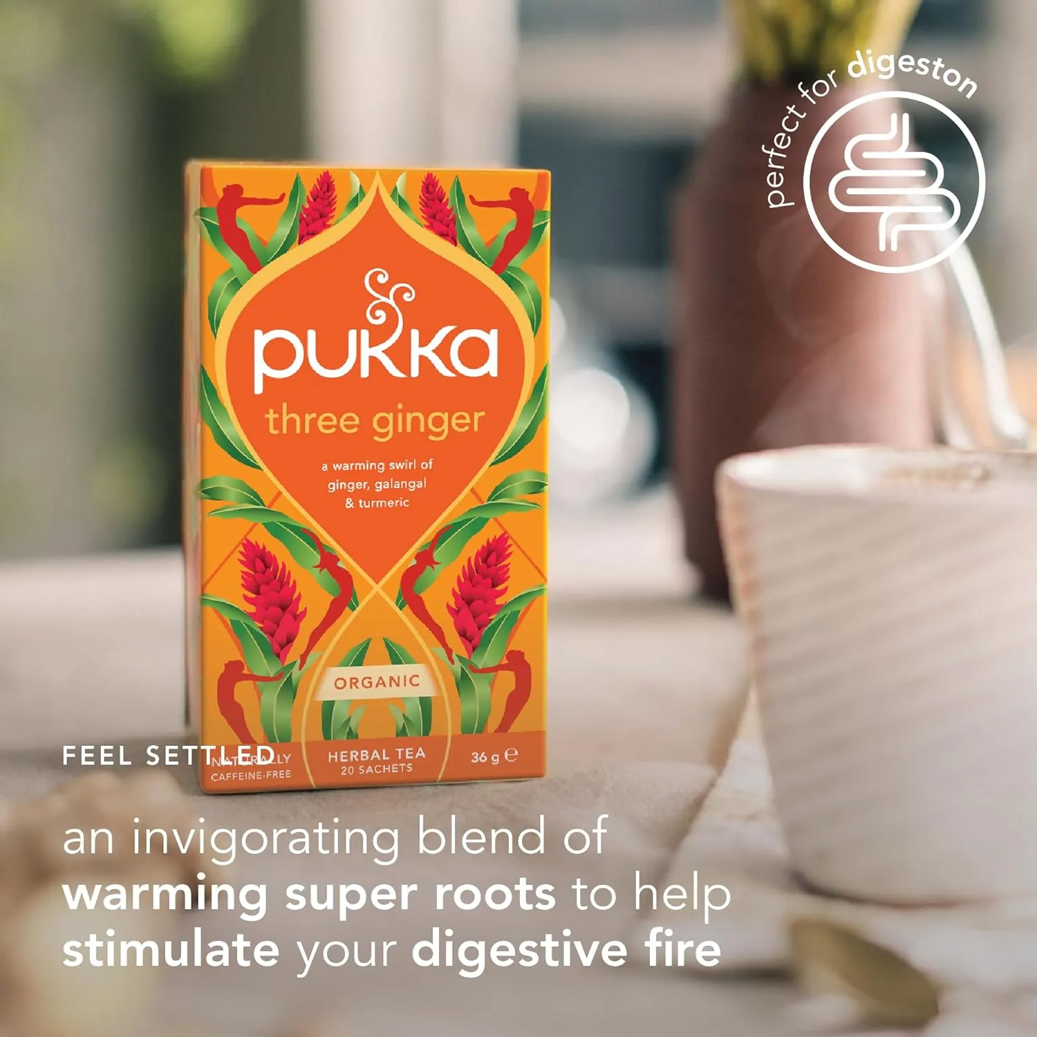Pukka Three Ginger Organic Herbal Tea, Digestion-Aiding Infusion With Ginger, Turmeric, and Galangal, Tea Gift Set Ideal After Meals, Caffeine Free, 80 Total Bags (20ct - Pack of 4)