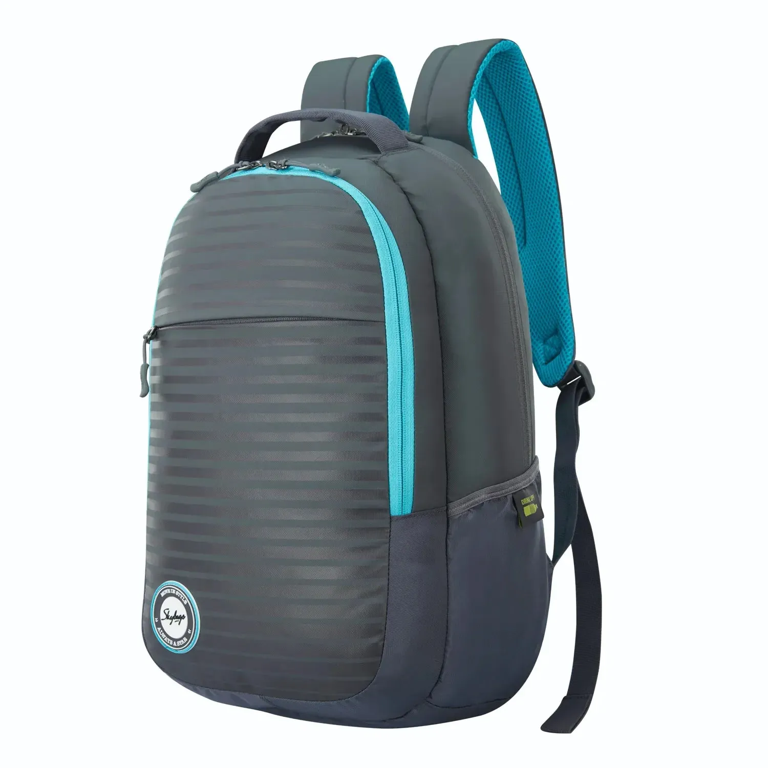 Skybags Campus  01 Laptop Backpack Grey