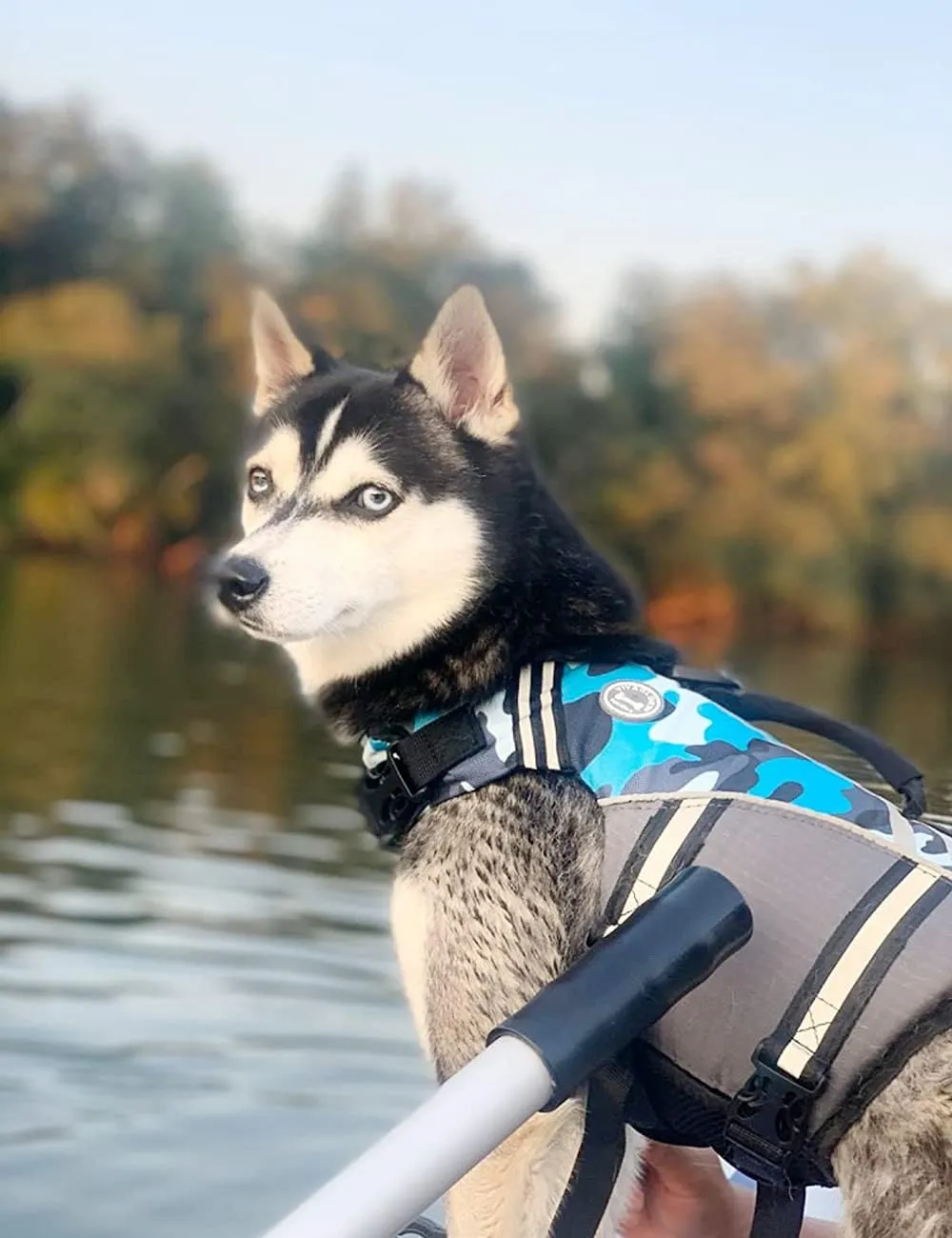VIVAGLORY Sports Style Dog Life Jacket with Adjustable & Durable, Extra Flotation Swim Life Vest with Secure Fastening System for Small Dogs, Camo Blue