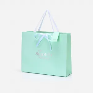 Wholesale - Large Gift Bag (Box of 12)